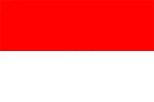 印度尼西亚TikTok专用